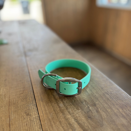 Small Sea Foam Standard Collar