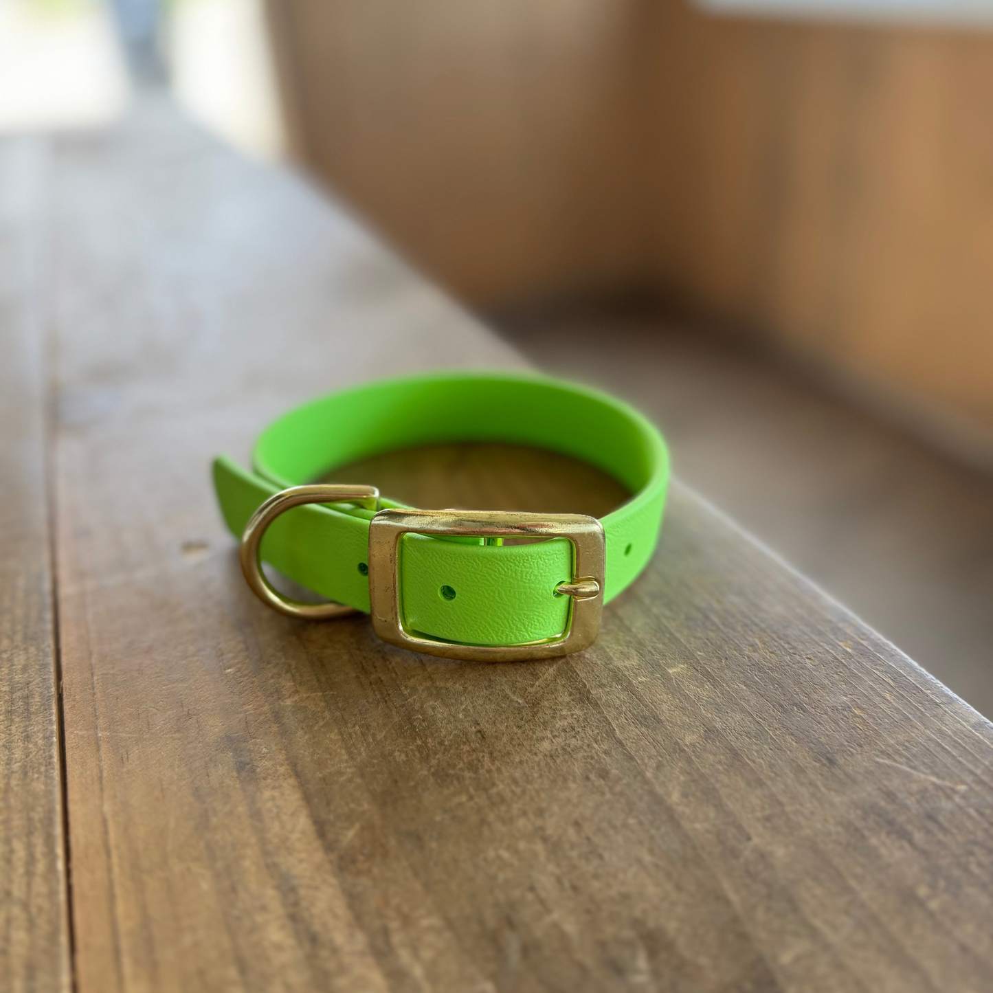 Small Lime Standard Collar