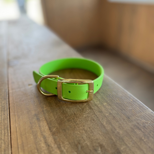 Small Lime Standard Collar