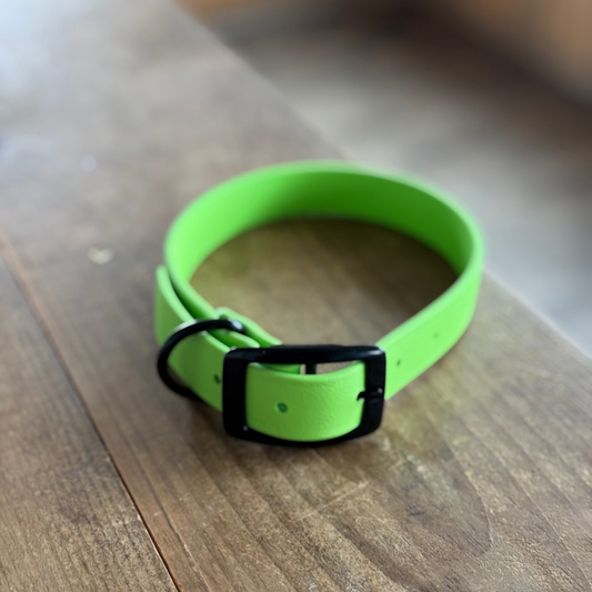 Standard Medium Lime Collar