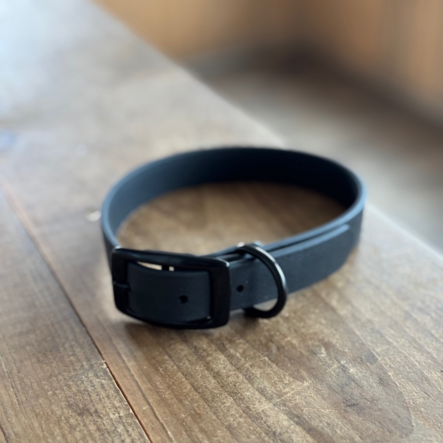Standard Medium Black Collar