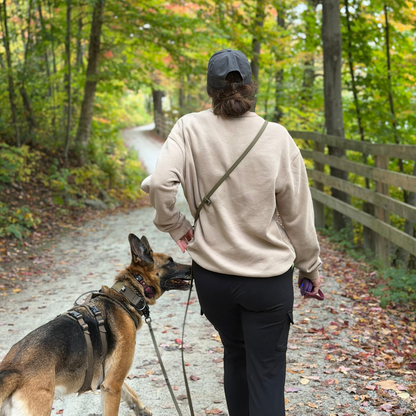 Multi-purpose Leash