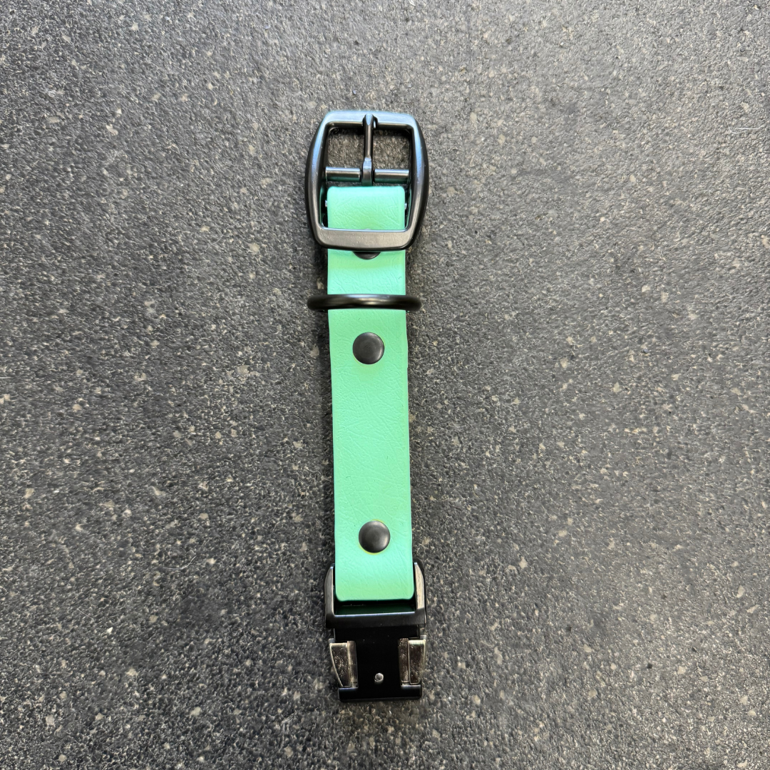 Quick Release Collar Buckle