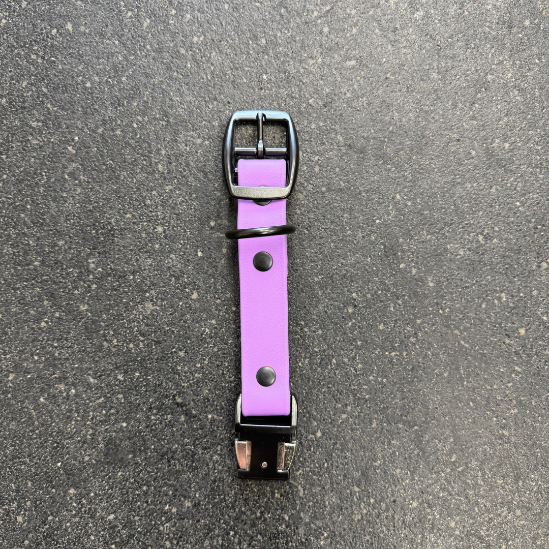 Quick Release Collar Buckle