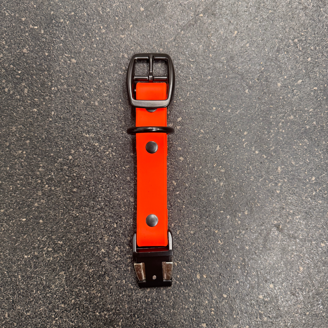 Quick Release Collar Buckle