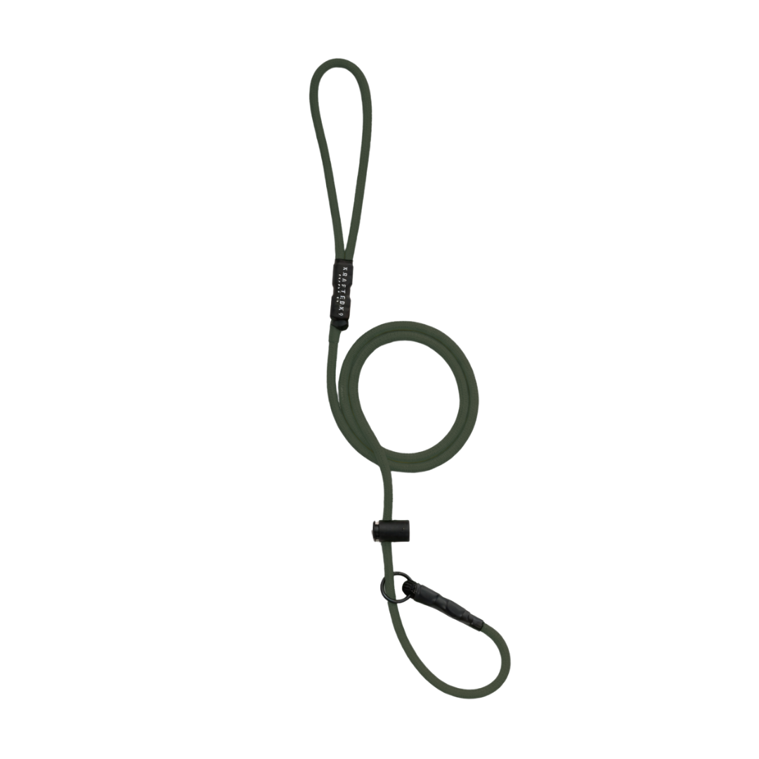 Paracord Slip Leash