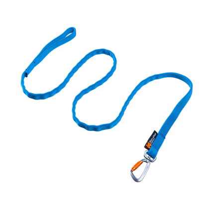 Bungee Leash