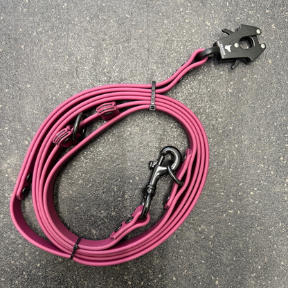 Multi-function leash