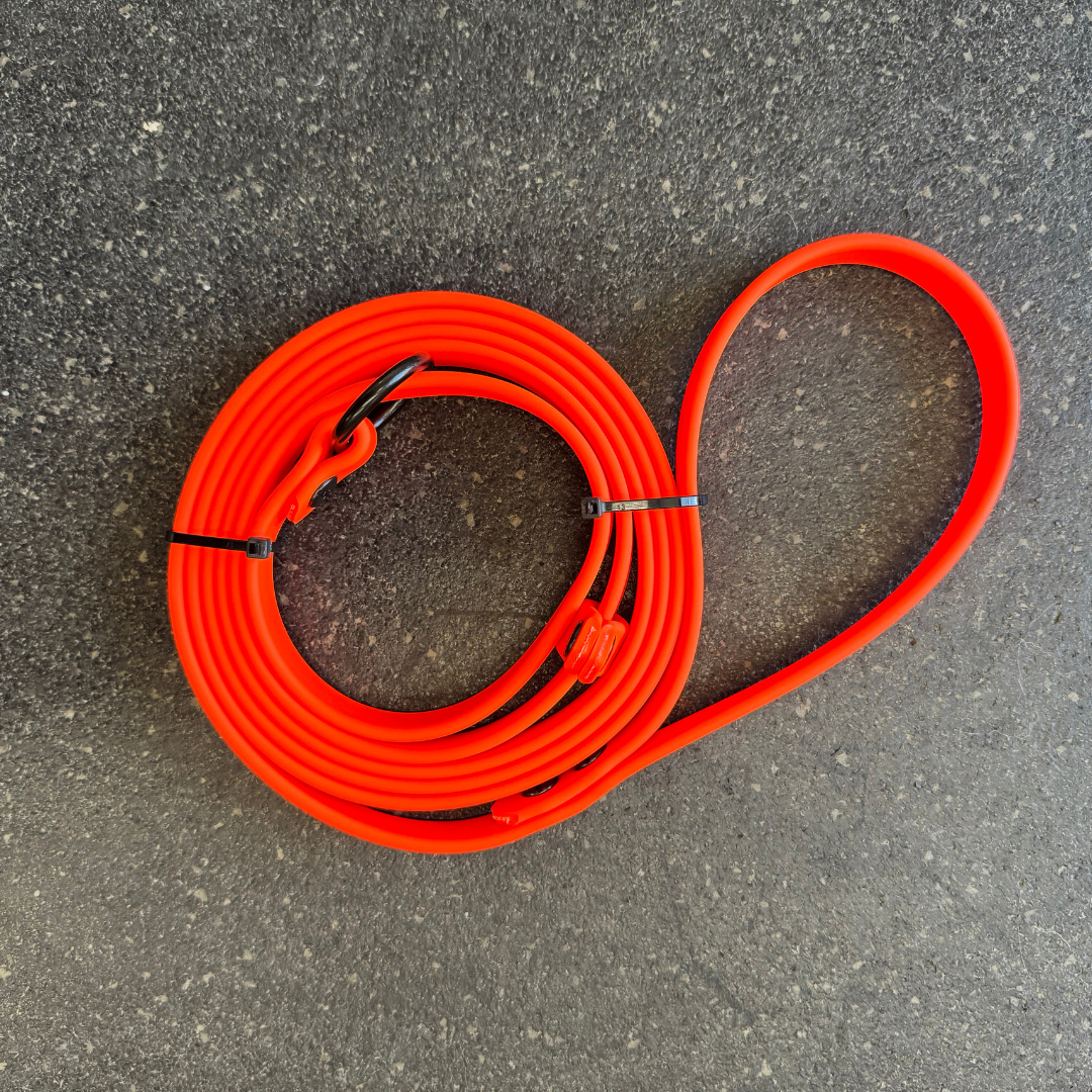 Slip Leash/Long line