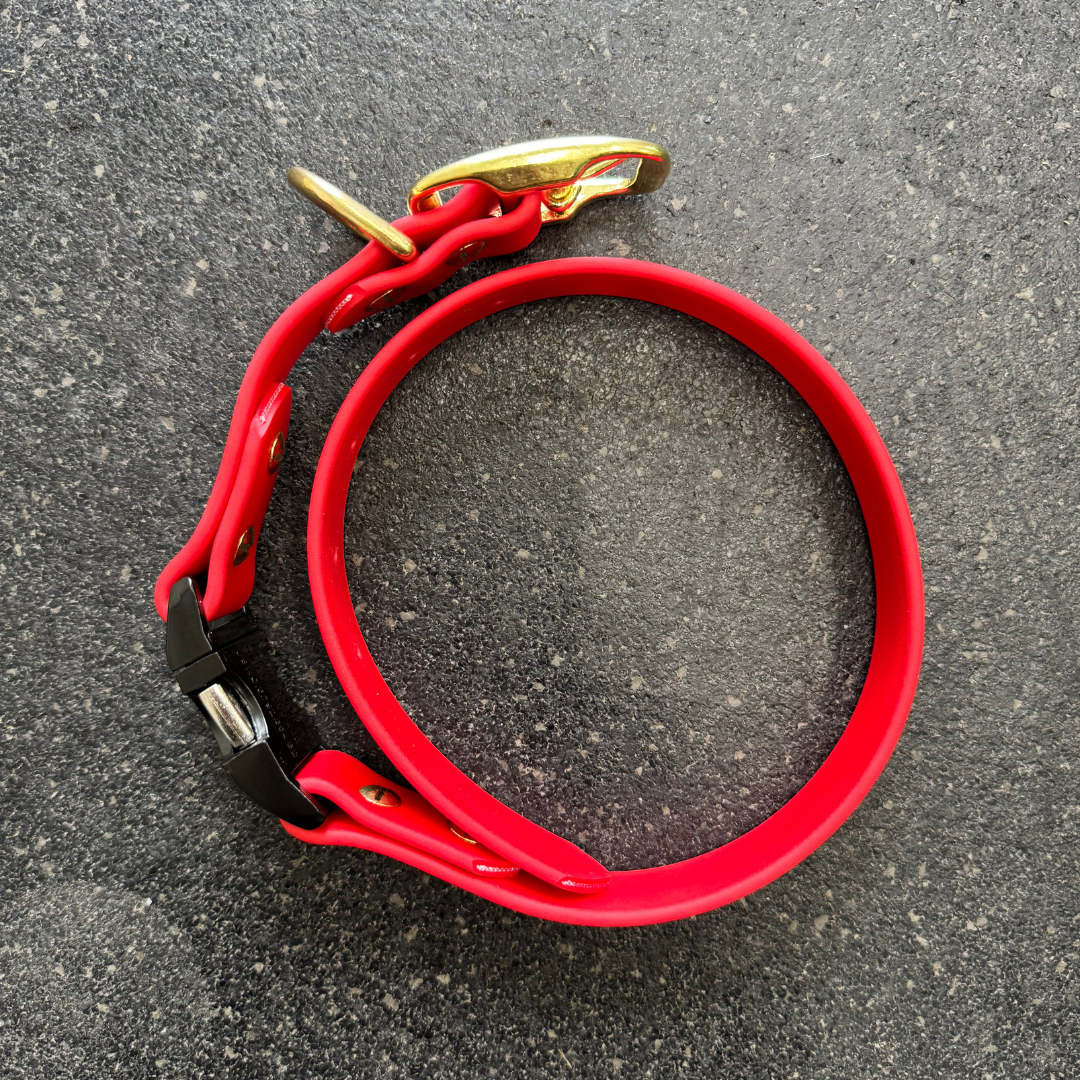 Quick Release Collar