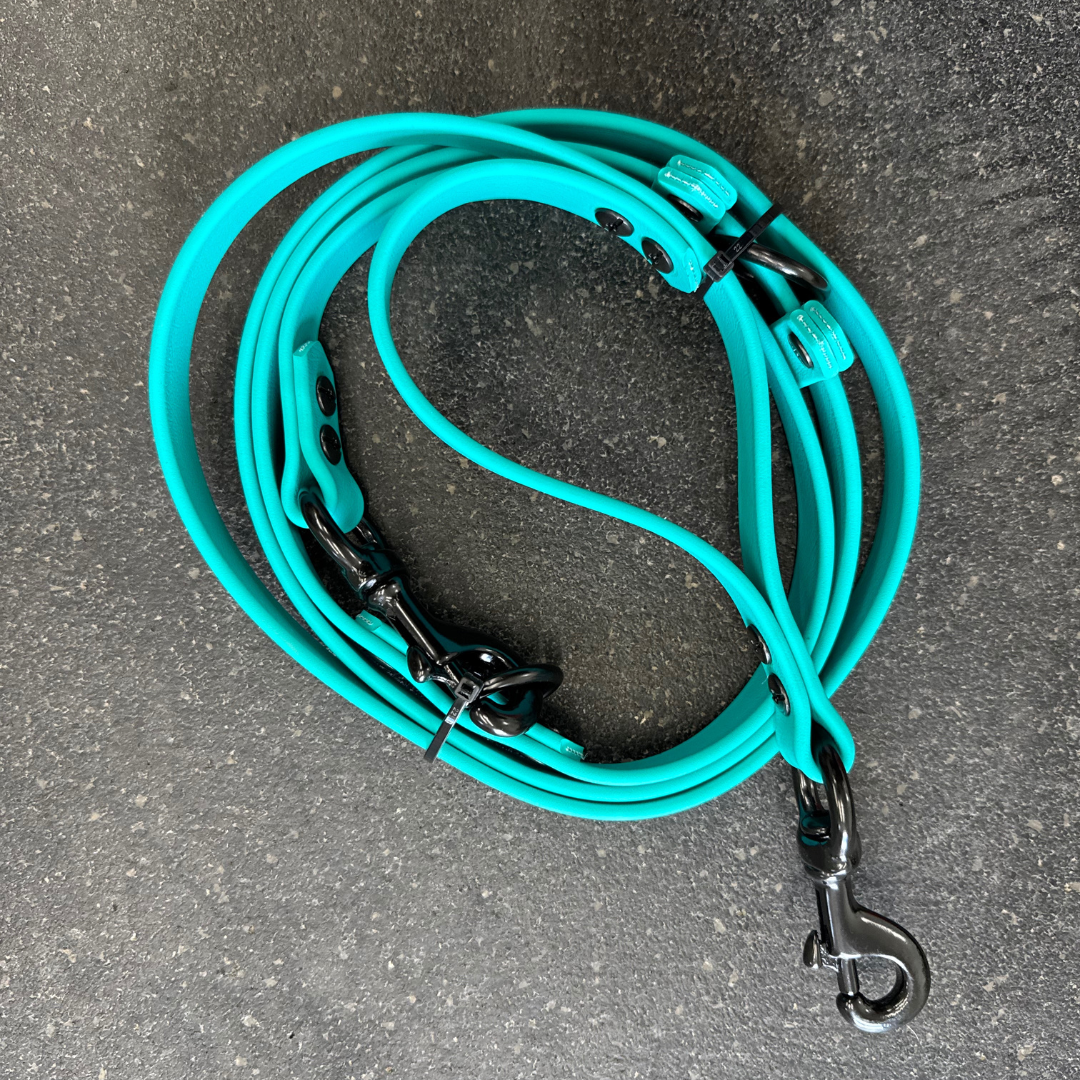 Multi-function leash