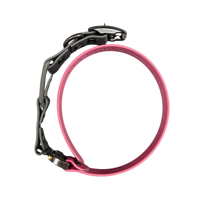 Bungee collar for COBRA E-collar
