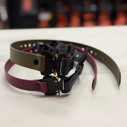 Bungee collar for COBRA E-collar