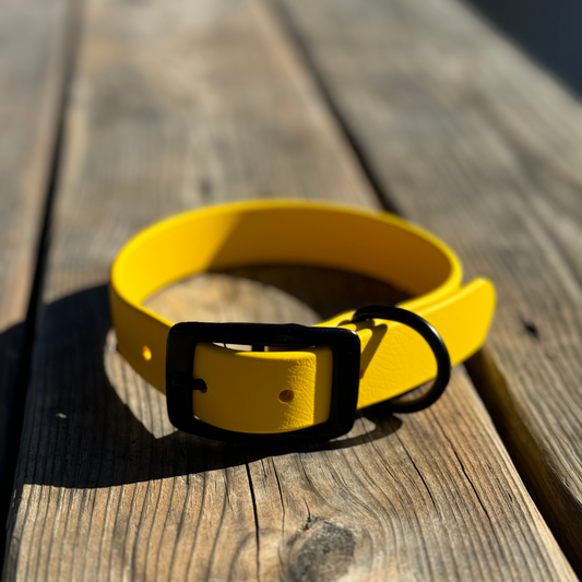 Collier biothane résistant