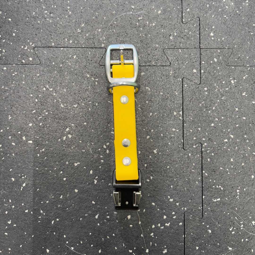 Quick Release Collar Buckle