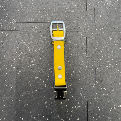 Quick Release Collar Buckle