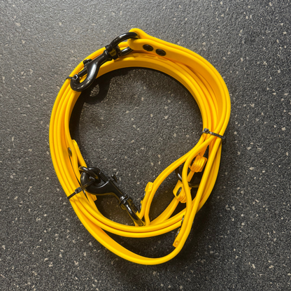 Multi-function leash