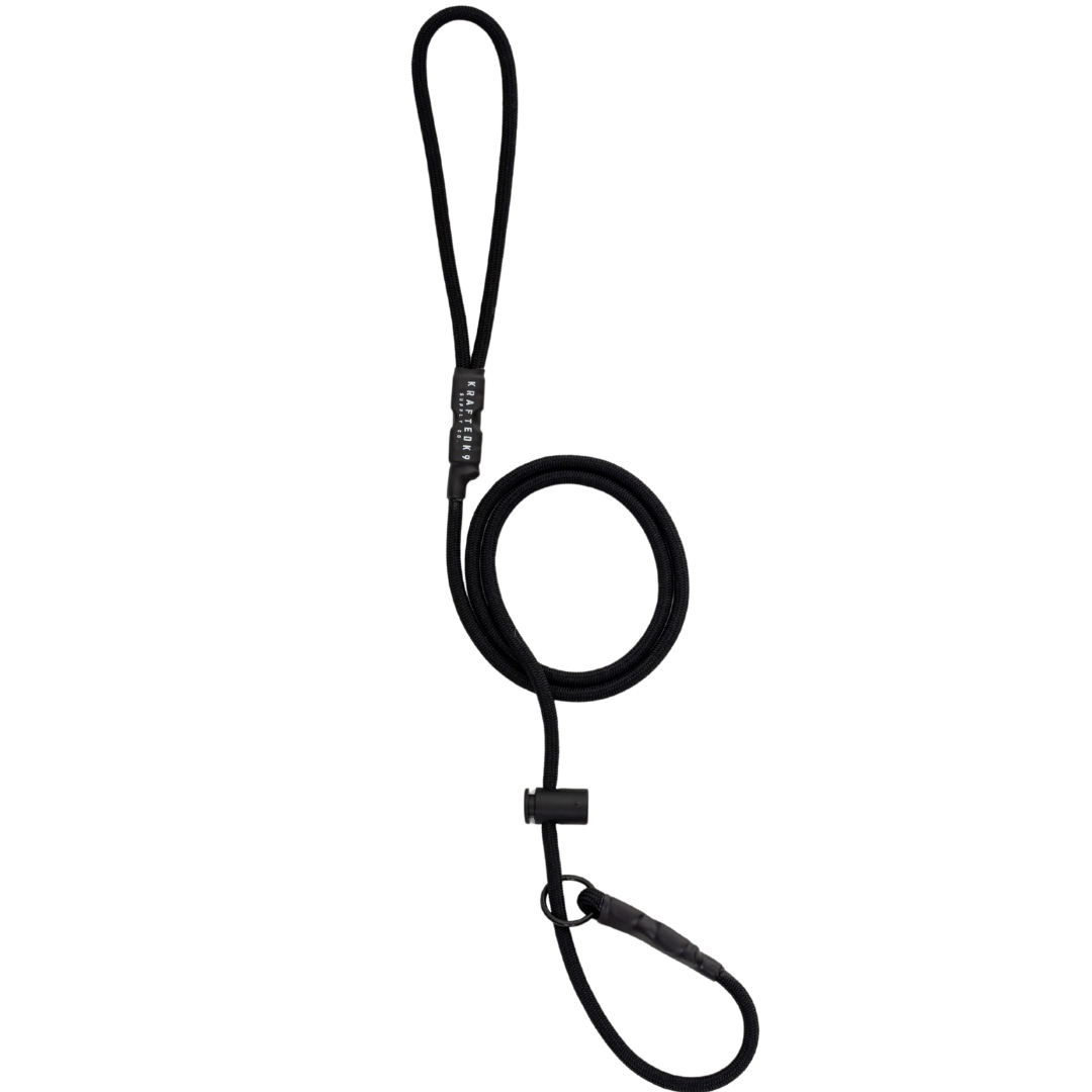 Paracord Slip Leash