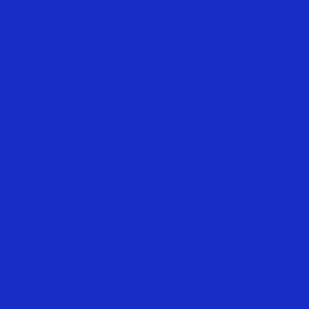 Alpine Regular Leash
