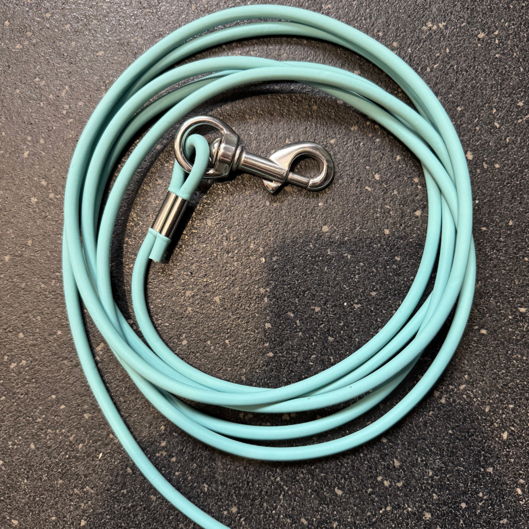 Laisse/Longe Biothane Rond